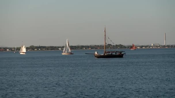 Båtfestival Danmark Århus Skandinavien Modern Segelbåt Gamla Traditionella Skandinaviska Hamnen — Stockvideo