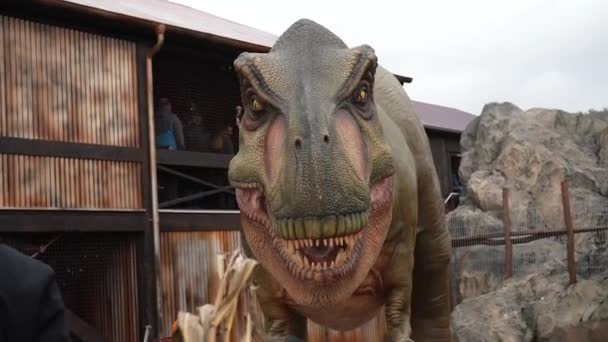 侏罗纪公园灭绝的恐龙 移动的恐龙模型 他们是在一个游乐园 机动的真实尺寸恐龙捕食者不同的调料在娱乐森林公园 侏罗纪史前时期的动物的移动模型 — 图库视频影像