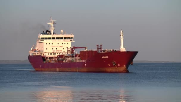 Bir Konteynır Kargo Gemisi Boşaltmak Için Limana Giriyor Büyük Konteynır — Stok video