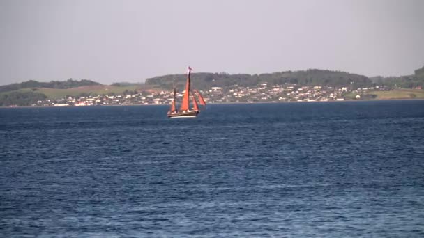 Фестиваль Лодок Дании Орхус Скандинавия Современная Парусная Яхта Входящая Старую — стоковое видео