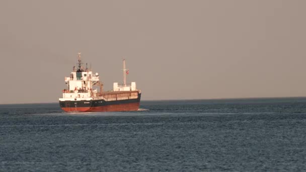 Navio Carga Contentor Entra Porto Para Descarga Navio Grande Recipiente — Vídeo de Stock