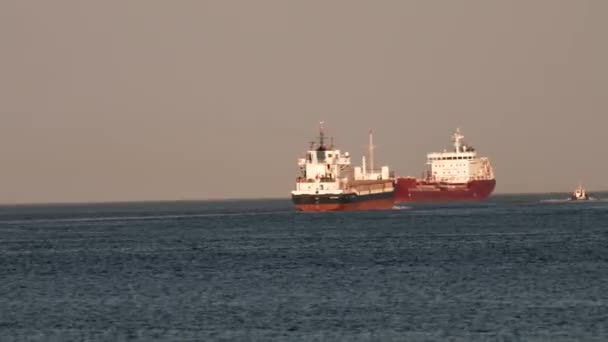 Una Nave Carico Containerizzata Entra Nel Porto Scarico Grande Nave — Video Stock