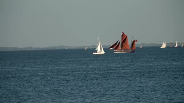 丹麦阿尔胡斯 斯堪的纳维亚 现代游艇进入古老的传统意义上的丑闻鸟类港口 桅杆航行古老的维京船逆风关闭游艇在夏季航行的里加塔 — 图库视频影像