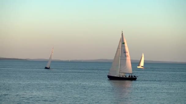 Фестиваль Човнів Данії Орхус Скандинавія Сучасні Вітрильні Яхти Входять Стару — стокове відео