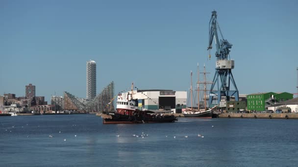 Perayaan Perahu Denmark Aarhus Skandinavia Yacht Layar Modern Memasuki Pelabuhan — Stok Video