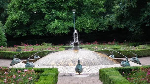 Swan Park Fountain Fontána Podobě Labutě Parku Swan Shaped Fountain — Stock video