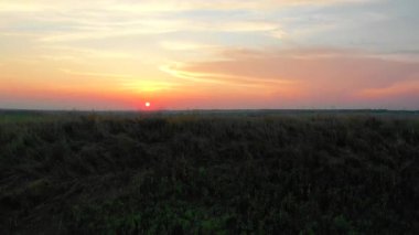 Altın saat, güzel gün batımı, gün batımında değişen akşam gökyüzü olan kırsal manzara. Yeşil tarla, Ukrayna 'nın tarlası günbatımında gökyüzü, Portakal, Sarı ve Pembe gökyüzü ile Sabah Gündoğumu, 