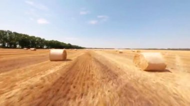 FPV, Ukrayna, mavi gökyüzü ile altın demet saman, hasat edilen buğday tarlasında saman balyaları. Tarımsal tarım çiftliği ve organik hayvan yemi ve saman balyaları üretimi kavramı 