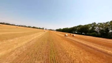 FPV, Ukrayna, mavi gökyüzü ile altın demet saman, hasat edilen buğday tarlasında saman balyaları. Tarımsal tarım çiftliği ve organik hayvan yemi ve saman balyaları üretimi kavramı 