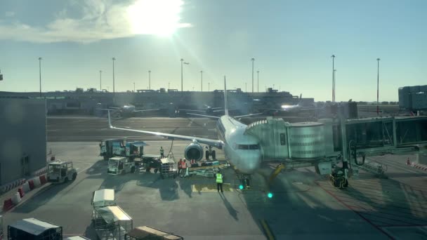 Uçağa Kargo Yükleme Havaalanı Personeli Bavulları Uçağa Yükleme Bavulları Uçağa — Stok video