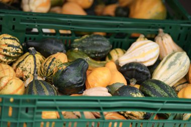 Marketin önündeki meyve ve sebze masası, Şükran Günü, Cadılar Bayramı arka planı dekorasyon ve rafta yemek pişirmek için farklı balkabakları.