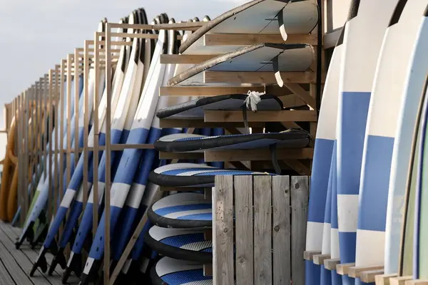 Sörf tahtaları, koleksiyon klasik tahta sörf tahtası, eski tarz. Arkasında okyanus olan tropikal kumsalda renkli sörf tahtaları