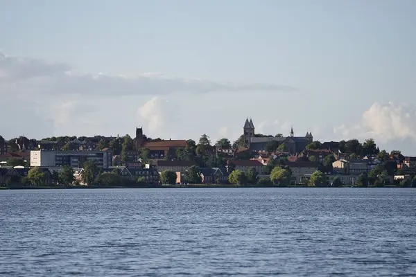 Danimarka, Viborg Katedrali, Viborg 'un tarihi merkezinde renkli eski evler. Yüksek kalite fotoğraf, 
