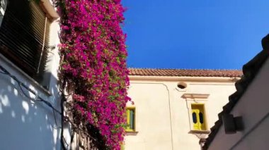 Positano, İtalya 'nın Amalfi Sahili' nde turistik bir yer. Positano 'daki yeşil sulu bitki örtüsünün içinden görünen Tyrhenian deniz kıyısındaki renkli evlerin havadan görünüşü Napoli metropolitan bölgesinde bir köydür.