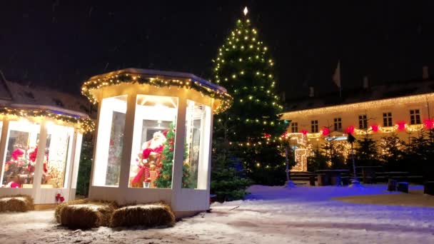Copenaghen Decorato Vacanze Natale Danimarca Viborg Dello Shopping Nel Centro — Video Stock