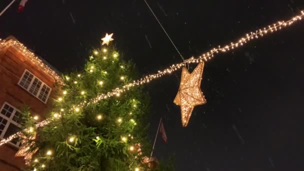 크리스마스 코펜하겐 덴마크 Viborg 오르후스의 역사적인 중심에 보행자 스트로트에 크리스마스 — 비디오