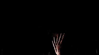 Fireworks at Night, Colorful celebration fireworks isolated on a black sky background. From below, shot of wonderful and vivid fireworks exploding. Burst. Firework. Show. New Year. Fireworks. 