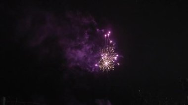 Fireworks at Night, Colorful celebration fireworks isolated on a black sky background. From below, shot of wonderful and vivid fireworks exploding. Burst. Firework. Show. New Year. Fireworks. 