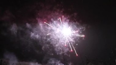 Fireworks at Night, Colorful celebration fireworks isolated on a black sky background. From below, shot of wonderful and vivid fireworks exploding. Burst. Firework. Show. New Year. Fireworks. 