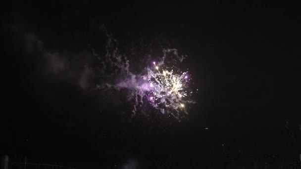 Fireworks Night Colorful Celebration Fireworks Isolated Black Sky Background Shot — Vídeos de Stock