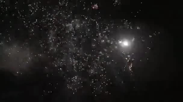 Fireworks Night Colorful Celebration Fireworks Isolated Black Sky Background Shot — Stok Video