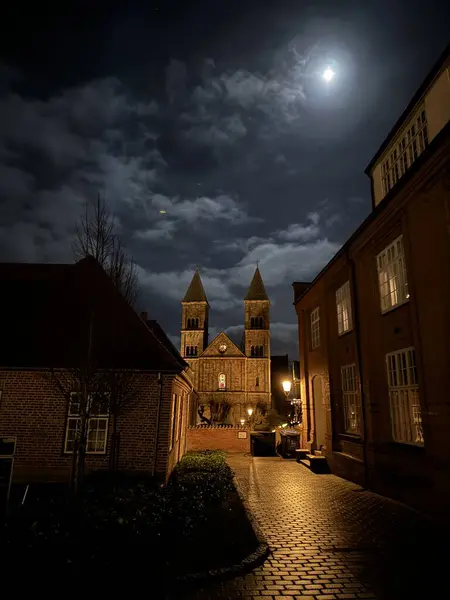 Danimarka 'nın ortasında Viborg antik katedrali, Danimarka Vium Kilisesi, Viborg, Danimarka 