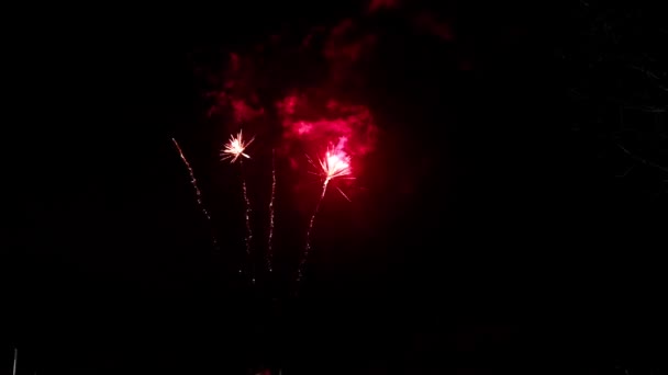 Fireworks Night Colorful Celebration Fireworks Isolated Black Sky Background Shot — стокове відео