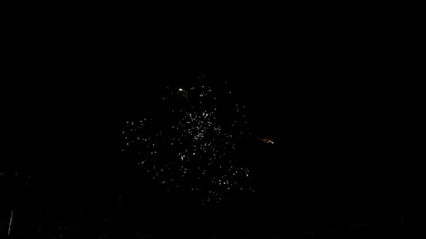 Fireworks Night Colorful Celebration Fireworks Isolated Black Sky Background Shot — Vídeo de stock