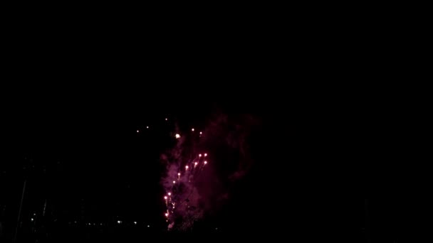 Fireworks Night Colorful Celebration Fireworks Isolated Black Sky Background Shot — Αρχείο Βίντεο