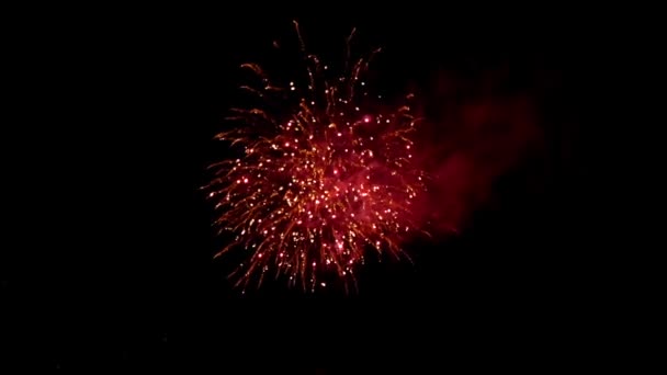 Fireworks Night Colorful Celebration Fireworks Isolated Black Sky Background Shot — Stockvideo