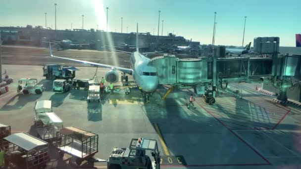 Carregando Avião Com Carga Tripulação Serviço Aeroporto Carregando Bagagem Para — Vídeo de Stock