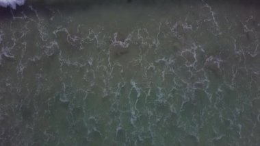 Sahildeki dalgaların çarpışma videosu. Tropik plaj sörfü. Soyut okyanus manzarası, Komodo Ulusal Parkı 'ndaki ünlü pembe plajda yatan bir çift. Turkuaz nane rengi berrak su, 