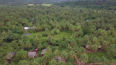 Okyanus sahilindeki palmiye ağaçları, Pasifik kıyısındaki tropikal ormanlar, hindistan cevizi ağaçları ve Jogja, Endonezya 'da evi olan diğer ağaçlar, egzotik lüks tatil köyleri ahşap evleri arasında bir ev. 