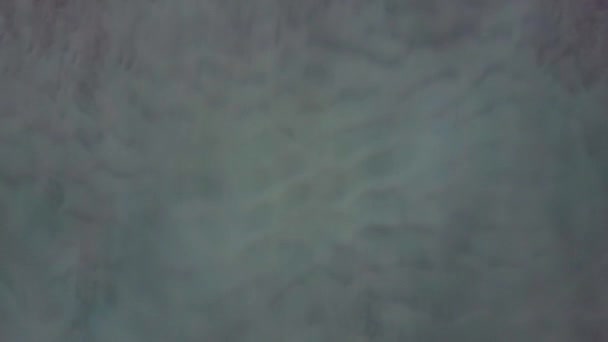 Overhead Video Von Krachenden Wellen Strand Tropische Strandbrandung Abstrakte Luftaufnahme — Stockvideo