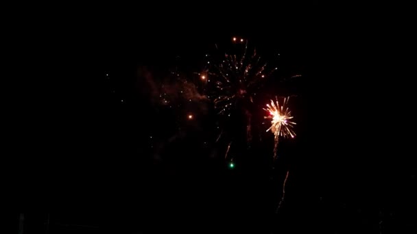 Fireworks Night Colorful Celebration Fireworks Isolated Black Sky Background Shot — Vídeo de Stock