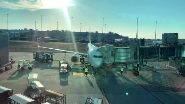 空港サービスの乗組員が航空機に荷物を積む荷物を積み込む 旅客機に積まれている荷物 — ストック動画