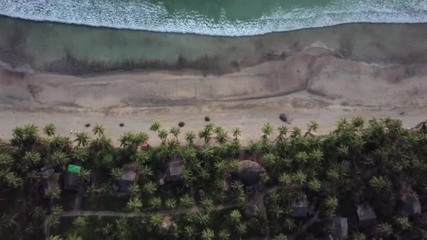 Overheadvideo Van Neerstortende Golven Het Kuststrand Tropische Strandsurfen Abstract Zeezicht — Stockvideo