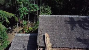 Okyanus sahilindeki palmiye ağaçları, Pasifik kıyısındaki tropikal ormanlar, hindistan cevizi ağaçları ve Jogja, Endonezya 'da evi olan diğer ağaçlar, egzotik lüks tatil köyleri ahşap evleri arasında bir ev. 