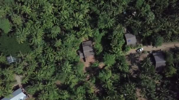 Casa Tra Palme Una Spiaggia Dell Oceano Foresta Tropicale Sulla — Video Stock