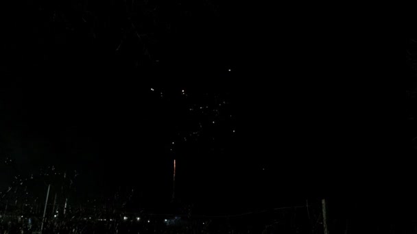 Fireworks Night Colorful Celebration Fireworks Isolated Black Sky Background Shot — Video Stock