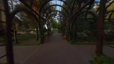 Baharda bahçe, sebze tünelinde yürümek, Jardim Botanico 'daki kemerlerin altındaki patika boyunca çekim yapmak, Entree çalılığı patikası, baharda çit tüneli olan patika., 