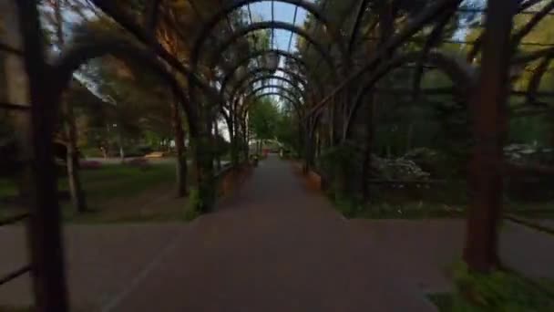 Jardín Caminata Túnel Vegetal Seguimiento Disparo Largo Del Camino Debajo — Vídeos de Stock