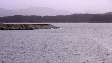 Norveç 'te gezinti. Bottan fiyordun manzarası, tekneden dağların manzarası, şelaleler, yolcu gemileri ve hassas tekneler turistleri gemiden kıyıya taşıyan mavi gökyüzü ile güzel bir günde