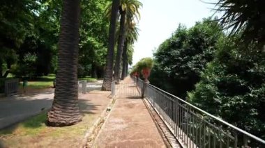 Müzenin önündeki güzel yeşil bahçenin statik manzarası, Napoli 'deki Museo Pignatelli, güneşli bir günde güney İtalya' da, Hindistan cevizi palmiyeleri yerden mavi güneşli gökyüzü manzarasına karşı taçlandırılıyor.