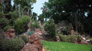 Müzenin önündeki güzel yeşil bahçenin statik manzarası, Napoli 'deki Museo Pignatelli, güneşli bir günde güney İtalya' da, Hindistan cevizi palmiyeleri yerden mavi güneşli gökyüzü manzarasına karşı taçlandırılıyor.
