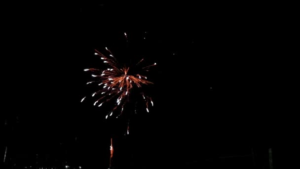 Fireworks Night Colorful Celebration Fireworks Isolated Black Sky Background Shot — стоковое видео