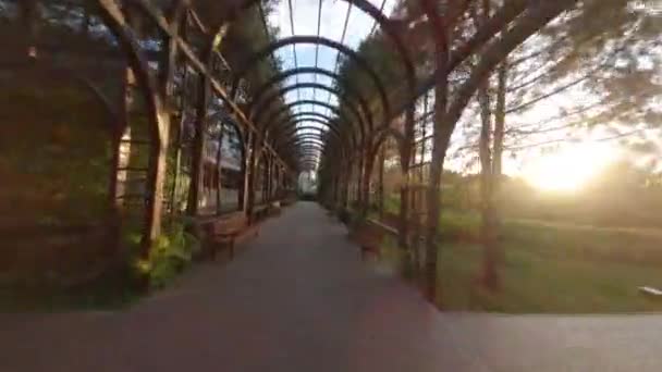 터널에서 Jardim Botanico Entree 터널이있는 발길에서 아래의 경로를 — 비디오