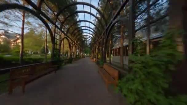 Giardino Passeggiata Galleria Vegetale Tracciamento Girato Lungo Sentiero Sotto Archi — Video Stock