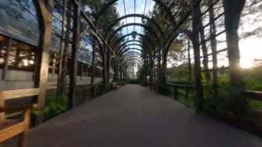Baharda bahçe, sebze tünelinde yürümek, Jardim Botanico 'daki kemerlerin altındaki patika boyunca çekim yapmak, Entree çalılığı patikası, baharda çit tüneli olan patika., 