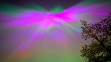Renkli kuzey ışıkları, mor ve yeşil aurora, ağaçların üzerindeki kuzey ışıkları, Aurora borealis kutup ışıkları ayarlandı. Gökyüzünde farklı şekillerde ve renkte parlayan kuzey ışıkları, gölde yaz aurora